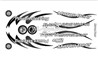 Double Horse DH 7003 RC boat parts ,Shuang Ma DH 7003 parts-04 Stickers for the boat shell cover