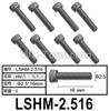 HG P602 LSHM-2.516 Screws-2.5x16mm,Hexagon HM Screws
