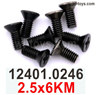 Wltoys 104019 Screws Parts 12401.0246 2.5x6KM Phillips Countersunk Head Machine Screws.