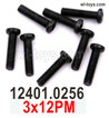 Wltoys 104019 Screws Parts 12401.0256 3x12PM Phillips round head machine screws.