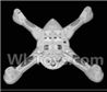 SongYang toys X18 Parts-11 Bottom shell cover,Bottom canopy For the SY X18 UFO X-18 RC Quadcopter