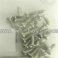 LS-209-parts-40 Screws,LianSheng toys model LS209 RC Helicopter parts