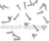 Lishitoys L6036 RC Quadcopter Parts-42 Screws pack set