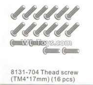 DHK RAZ-R Parts-Thead screw(TM4X17mm)-16pcs Parts-8131-704,DHK RAZ-R Parts,DHK Wolf Parts,DHK HOBBY 8133 8134 Parts