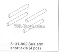 DHK RAZ-R Parts-Sus.arm short axle(4pcs) Parts-8131-802,DHK RAZ-R Parts,DHK Wolf Parts,DHK HOBBY 8133 8134 Parts