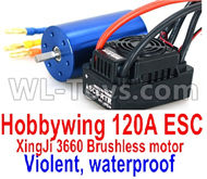 DHK Optimus Parts-Brushless motor and ESC Parts-Hobbywing 120A ESC and XinjI 3660 Brushless motor(Violent, waterproof) Parts,DHK Optimus 8383 Parts,DHK Optimus Parts-XL Buggy,DHK Hobby 8383 Parts