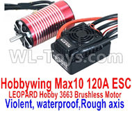 DHK Optimus Parts-Brushless motor and ESC Parts--Hobbywing Max 10 120A ESC and LEOPARD Hobby 3663 Brushless Motor(Violent,waterproof,Rough axis) Parts,DHK Optimus 8383 Parts,DHK Optimus Parts-XL Buggy,DHK Hobby 8383 Parts