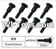 FeiYue FY-01 Spare Parts-60-04 W12076 Inner Hexagon T head Self-attack screws(8pcs)-4.0X14mm,FeiYue FY-01 RC Car Parts,FY01 FY-01 RC Truck Spare parts Accessories,1:12 4WD High Speed Buggy Parts