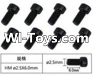 FeiYue FY-01 Spare Parts-60-06 W12067 Inner Hexagon Cup head Machine screws(8pcs)-2.5X6mm,FeiYue FY-01 RC Car Parts,FY01 FY-01 RC Truck Spare parts Accessories,1:12 4WD High Speed Buggy Parts