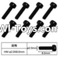 FeiYue FY-01 Spare Parts-60-20 W12062 Inner Hexagon Cup head machine screws(8pcs)-2.0X8mm,FeiYue FY-01 RC Car Parts,FY01 FY-01 RC Truck Spare parts Accessories,1:12 4WD High Speed Buggy Parts