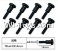 FeiYue FY-02 Spare Parts-60-04 W12076 Inner Hexagon T head Self-attack screws(8pcs)-4.0X14mm,FeiYue FY-02 RC Car Parts,FY02 FY-02 RC Truck Spare parts Accessories,1:12 4WD High Speed Buggy Parts