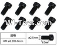 FeiYue FY-02 Spare Parts-60-06 W12067 Inner Hexagon Cup head Machine screws(8pcs)-2.5X6mm,FeiYue FY-02 RC Car Parts,FY02 FY-02 RC Truck Spare parts Accessories,1:12 4WD High Speed Buggy Parts