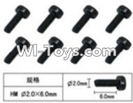 FeiYue FY-02 Spare Parts-60-19 W12061 Inner Hexagon Cup head machine screws(8pcs)-2.0X6mm,FeiYue FY-02 RC Car Parts,FY02 FY-02 RC Truck Spare parts Accessories,1:12 4WD High Speed Buggy Parts
