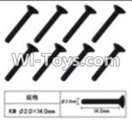 FeiYue FY03 FY-03 Inner Hexagon Flat head Machine screws2.0X14mm Parts-W12065,FeiYue FY03 Parts
