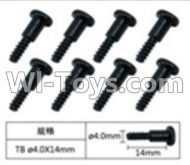 FeiYue FY-04 Spare Parts-60-04 W12076 Inner Hexagon T head Self-attack screws(8pcs)-4.0X14mm,FeiYue FY-04 RC Car Parts,FY04 FY-04 RC Motorcycle Truck Spare parts Accessories,1:12 4WD High Speed Buggy Parts