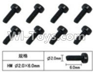 FeiYue FY-04 Spare Parts-60-19 W12061 Inner Hexagon Cup head machine screws(8pcs)-2.0X6mm,FeiYue FY-04 RC Car Parts,FY04 FY-04 RC Motorcycle Truck Spare parts Accessories,1:12 4WD High Speed Buggy Parts