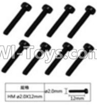 FeiYue FY-04 Spare Parts-60-22 W12064 Inner Hexagon Cup head machine screws(8pcs)-2.0X12mm,FeiYue FY-04 RC Car Parts,FY04 FY-04 RC Motorcycle Truck Spare parts Accessories,1:12 4WD High Speed Buggy Parts