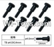 FeiYue FY-05 FY05 Parts-W12076 Inner Hexagon T head Self-attack screws(8pcs)-4.0X14mm,FeiYue FY-05 RC Car Parts,FY05 FY-05 RC Truck Spare parts Accessories,1:12 4WD High Speed Buggy Parts