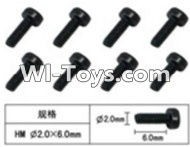 FeiYue FY-05 FY05 Parts-W12061 Inner Hexagon Cup head machine screws(8pcs)-2.0X6mm,FeiYue FY-05 RC Car Parts,FY05 FY-05 RC Truck Spare parts Accessories,1:12 4WD High Speed Buggy Parts