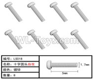 HG P407 LS018 Cross round head Self-tapping screws-Φ1.7X5mm(8pcs),HG P407 RC Truck Spare parts Accessories,HG P407 1:10 RC Car Parts