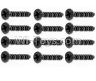 HBX Survivor MT 12811 Countersunk Screw 2.5X8mm(12PCS) Parts-S181
