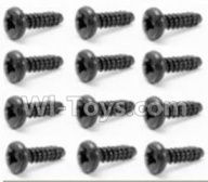 HBX 12813 Screw Parts-Round Head Self Tapping Screw-2.6X10mm(12PCS) Parts-S029,1/12 HaiBoXing HBX 12813 Survivor MT RC Car Parts