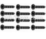 HBX 12813 Screw Parts-Countersunk Screw 2.5X8mm(12PCS) Parts-S181,1/12 HaiBoXing HBX 12813 Survivor MT RC Car Parts