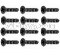 HBX 12813 Screw Parts-Round Head Self Tapping Screws-2.6X25mm(12PCS) Parts-S201,1/12 HaiBoXing HBX 12813 Survivor MT RC Car Parts