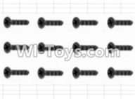 HBX 12881 Screws Parts-Countersunk Screw(12pcs)-3X10mm Parts-S062,HaiBoXing HBX 12881 VORTEX RC Car Parts