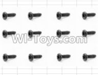 HBX 12881 Screws Parts-Round Head Self Tapping Screw(12pcs)-3X6mm Parts-S071,HaiBoXing HBX 12881 VORTEX RC Car Parts