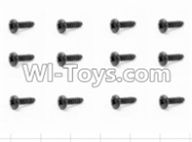 HBX 12881 Screws Parts-Round Head Screw(12pcs)-2.5X8mm Parts-S100,HaiBoXing HBX 12881 VORTEX RC Car Parts