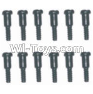 HBX 12881 Screws Parts-Step Screws(12pcs)-3.5X4.5-3X4.6mm Parts-S152,HaiBoXing HBX 12881 VORTEX RC Car Parts