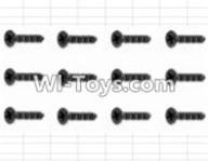HBX 12882P ONSLAUGHT Screws Parts-Countersunk Self Tapping Screw(12pcs)-2X9mm Parts-S038,HaiBoXing HBX 12882P ONSLAUGHT RC Car Parts