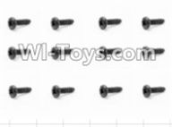 HBX 12885 Iron Hammer Round Head Screw(12pcs)-2.5X8mm Parts-S100,HaiBoxing HBX 12885 Iron Hammer RC Car Spare Parts