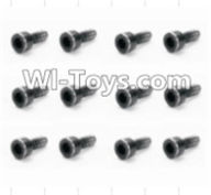 HBX 12885 Iron Hammer Cap Head Screws(12pcs)-2X6mm Parts-S165,HaiBoxing HBX 12885 Iron Hammer RC Car Spare Parts