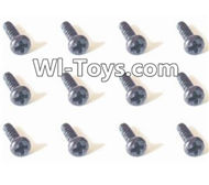 HaiBoXing 2098B Spare Parts-56 24771 Head Screws(12PCS)-1.5x2.5mm,,HBX 2198B Car Parts,HaiBoXing 1:24 2198B RC Truck Spare parts Accessories,HBX 1/24 2198B 4WD High Speed Buggy Parts
