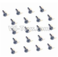 HBX 2128 Wildrider Screw Countersunk Head Screw-2X5mm(20PCS) 25055,HaiBoXing HBX 2128 RC Car Parts 1/24