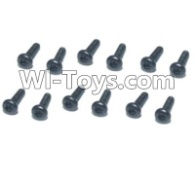 HBX T6 Hex. Recessed Pan Head Screws(TMH03x25mm)-12pcs Parts TS205,HaiBoXing HBX T6 1/6 RC Desert Buggy Parts,hbx T6 Hammerhead Parts