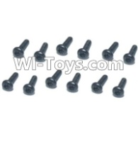 HBX T6 Hex. Recessed Pan Head Screws(TMH04x16mm)-12pcs Parts TS209,HaiBoXing HBX T6 1/6 RC Desert Buggy Parts,hbx T6 Hammerhead Parts