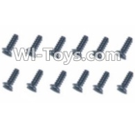 HBX T6 Hex. Recessed Pan Head Self Tapping Screws(TMH04x25mm)-12pcs Parts TS215,HaiBoXing HBX T6 1/6 RC Desert Buggy Parts,hbx T6 Hammerhead Parts