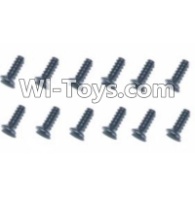 HBX T6 Hex. Recessed Countsunk Screws(FMH03x10mm)-12pcs Parts TS216,HaiBoXing HBX T6 1/6 RC Desert Buggy Parts,hbx T6 Hammerhead Parts