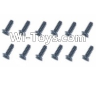 HBX T6 Hex. Recessed Countsunk Screws(FMH03x25mm)-12pcs Parts TS218,HaiBoXing HBX T6 1/6 RC Desert Buggy Parts,hbx T6 Hammerhead Parts