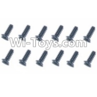HBX T6 Hex. Recessed Countsunk Screws(FMH04x10mm)-12pcs Parts TS222,HaiBoXing HBX T6 1/6 RC Desert Buggy Parts,hbx T6 Hammerhead Parts