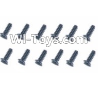 HBX T6 Hex. Recessed Countsunk Screws(FMH04x18mm)-12pcs Parts TS223,HaiBoXing HBX T6 1/6 RC Desert Buggy Parts,hbx T6 Hammerhead Parts
