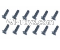 HBX T6 Hex. Recessed Pan Head Screws(TMH03x21mm)-12pcs Parts TS230,HaiBoXing HBX T6 1/6 RC Desert Buggy Parts,hbx T6 Hammerhead Parts