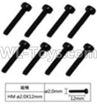 JJRC Q39 screws Parts-W12064 Inner Hexagon Cup head machine screws(8pcs)-2.0X12mm,JJRC Q39 Parts,JJRC Q39 highlander Parts