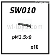 JLB Cheetah Scres Parts-PM2.5X8mm-10pcs Parts-SW010,JLB Cheetah Parts,JLB cheetah 1/10 21101 RC Car Parts,JLB Racing Cheetah parts,JLB Racing 21101 parts