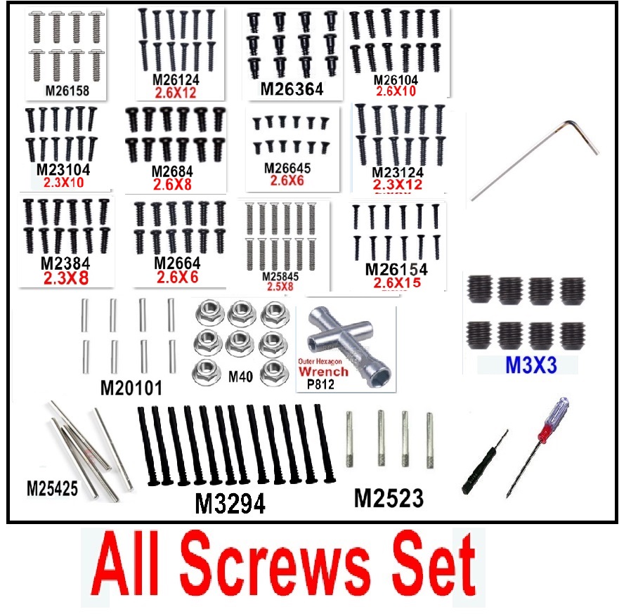 MJX Hyper Go 16208 Parts Screws Set.It nearly include most of the screws.MJX 16207 1/16 RC Car Replacement Accesories.