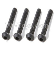 REMO HOBBY 1021 Parts-90-09 F5233 Inner-Hexagon haft-round head screws(8pcs)-M3X25mm,REMO HOBBY 1021 Rc Car Spare Parts Replacement Accessories,1021 1:10 Scale BRUSHED RC Racing Truck Parts rc off-road car Parts,Truck Car Parts