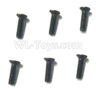 Subotech BG1520 screws-2.5x10 machine screws(6pcs)-WLS063
